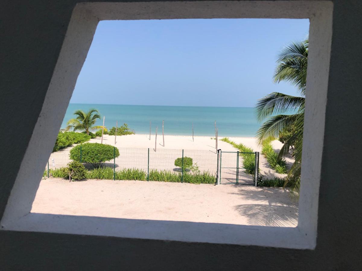 Playa 55 Beach Escape - Adults Only Guesthouse 塞莱斯通 外观 照片