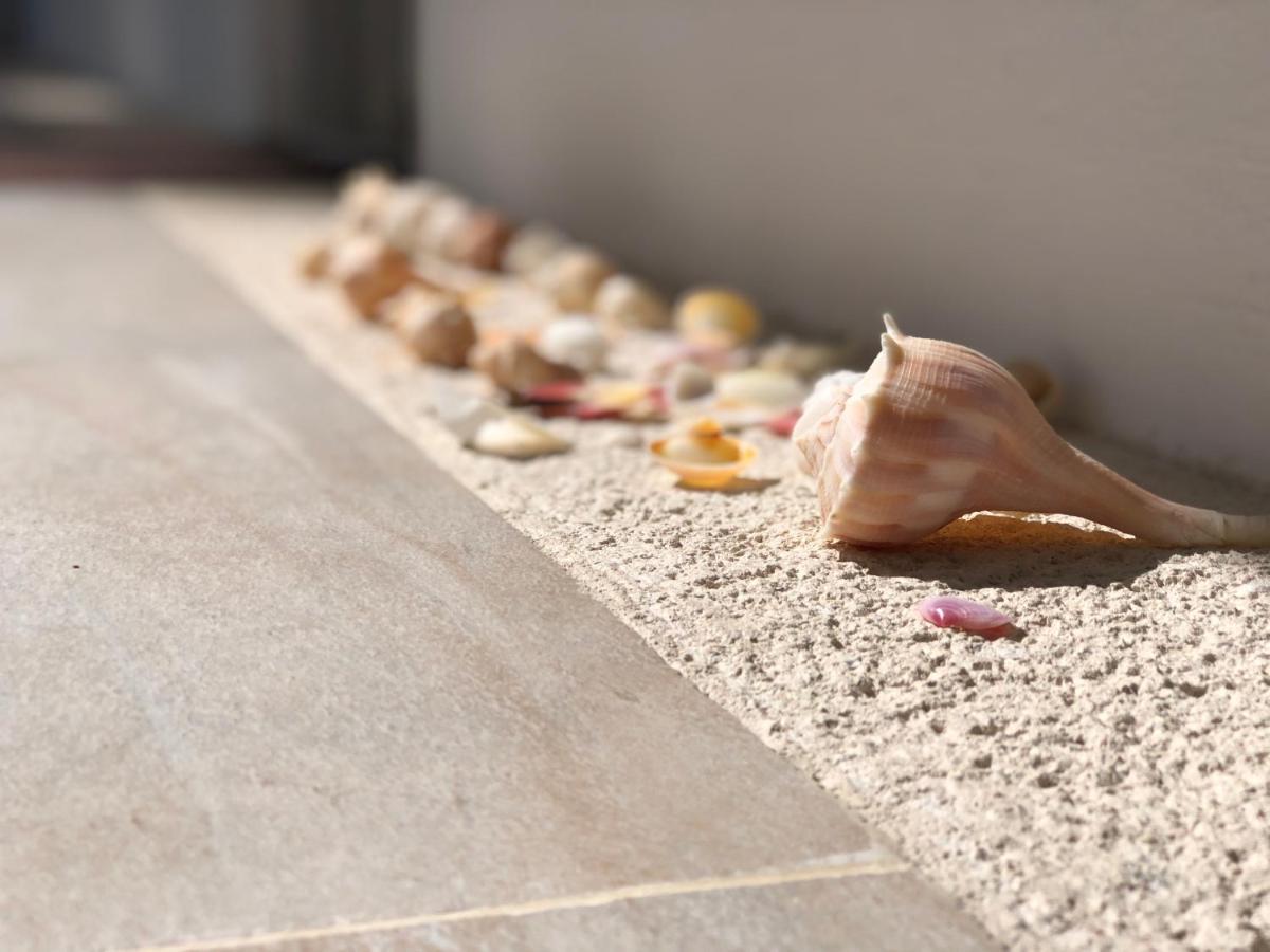 Playa 55 Beach Escape - Adults Only Guesthouse 塞莱斯通 外观 照片
