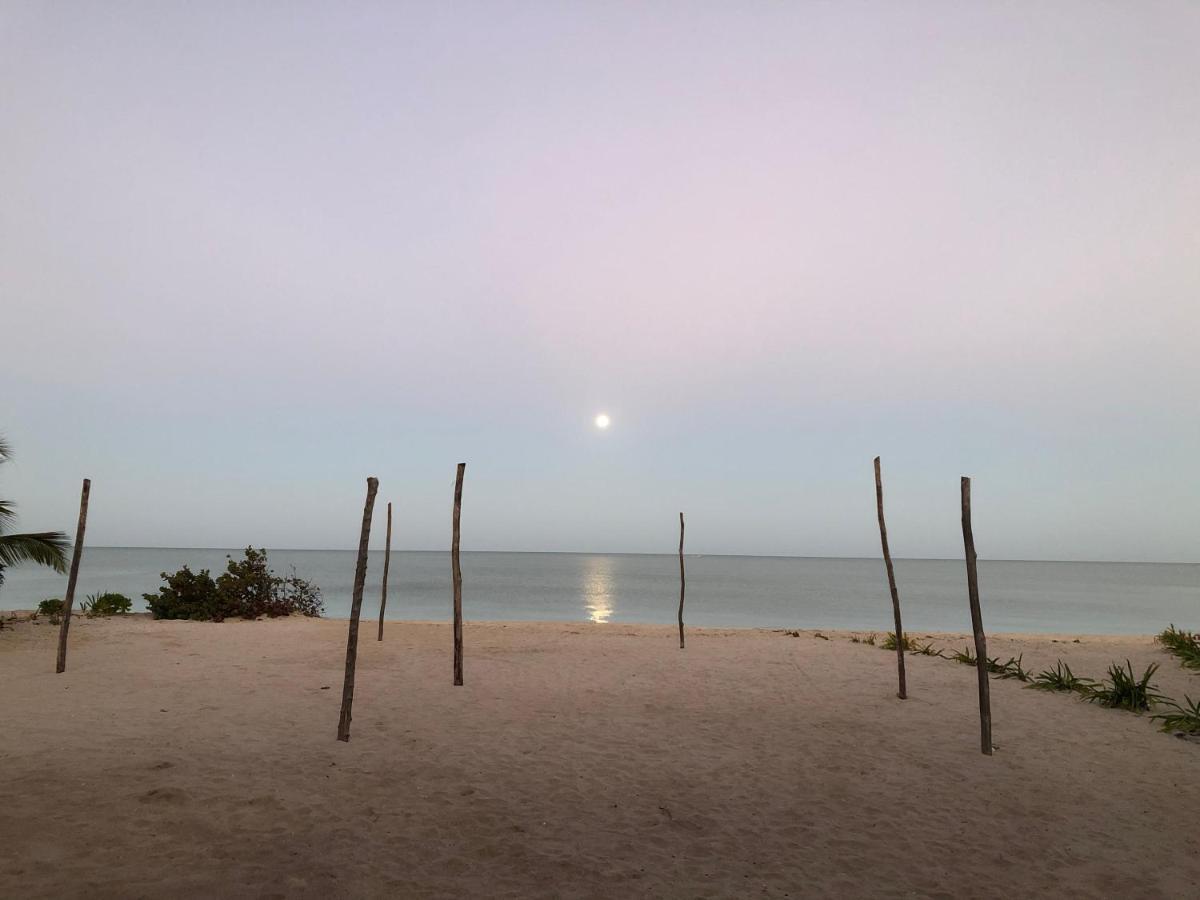 Playa 55 Beach Escape - Adults Only Guesthouse 塞莱斯通 外观 照片