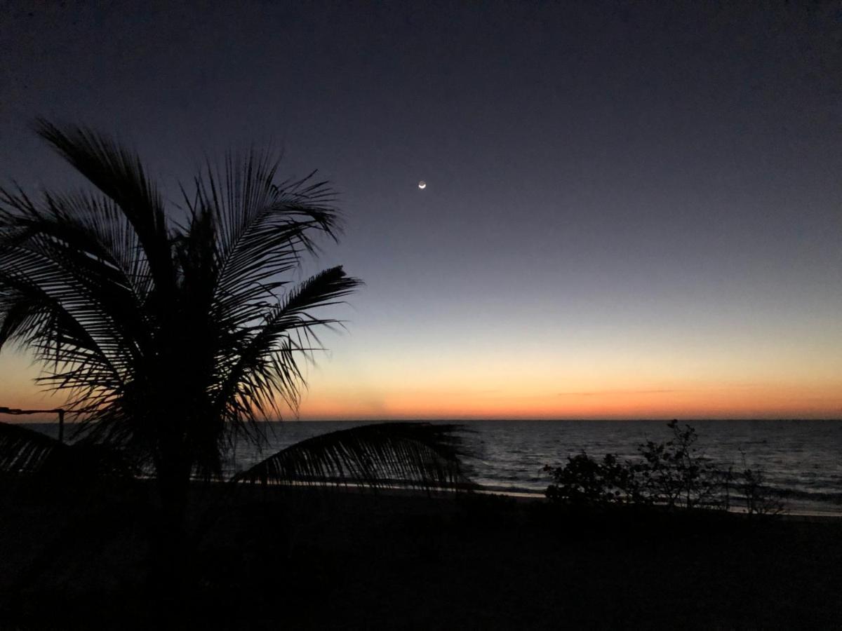 Playa 55 Beach Escape - Adults Only Guesthouse 塞莱斯通 外观 照片