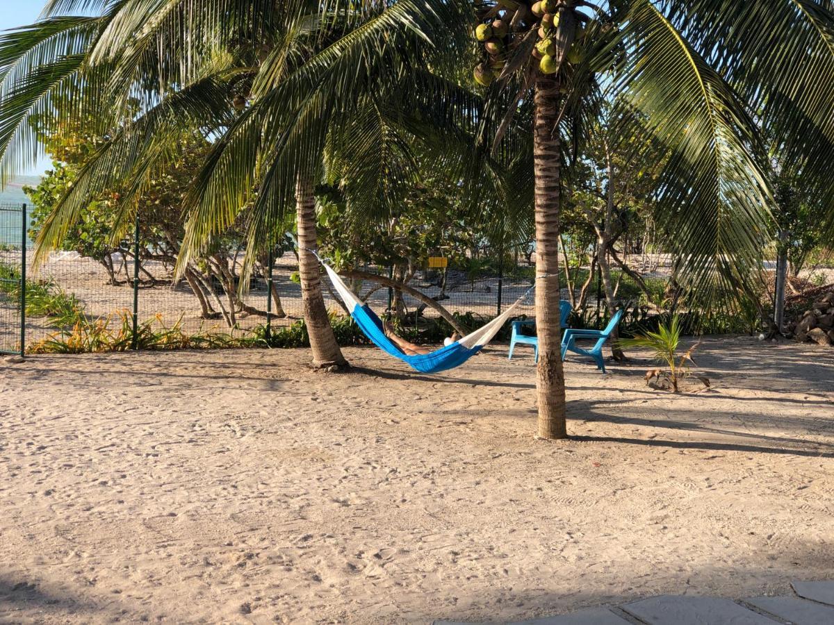 Playa 55 Beach Escape - Adults Only Guesthouse 塞莱斯通 外观 照片